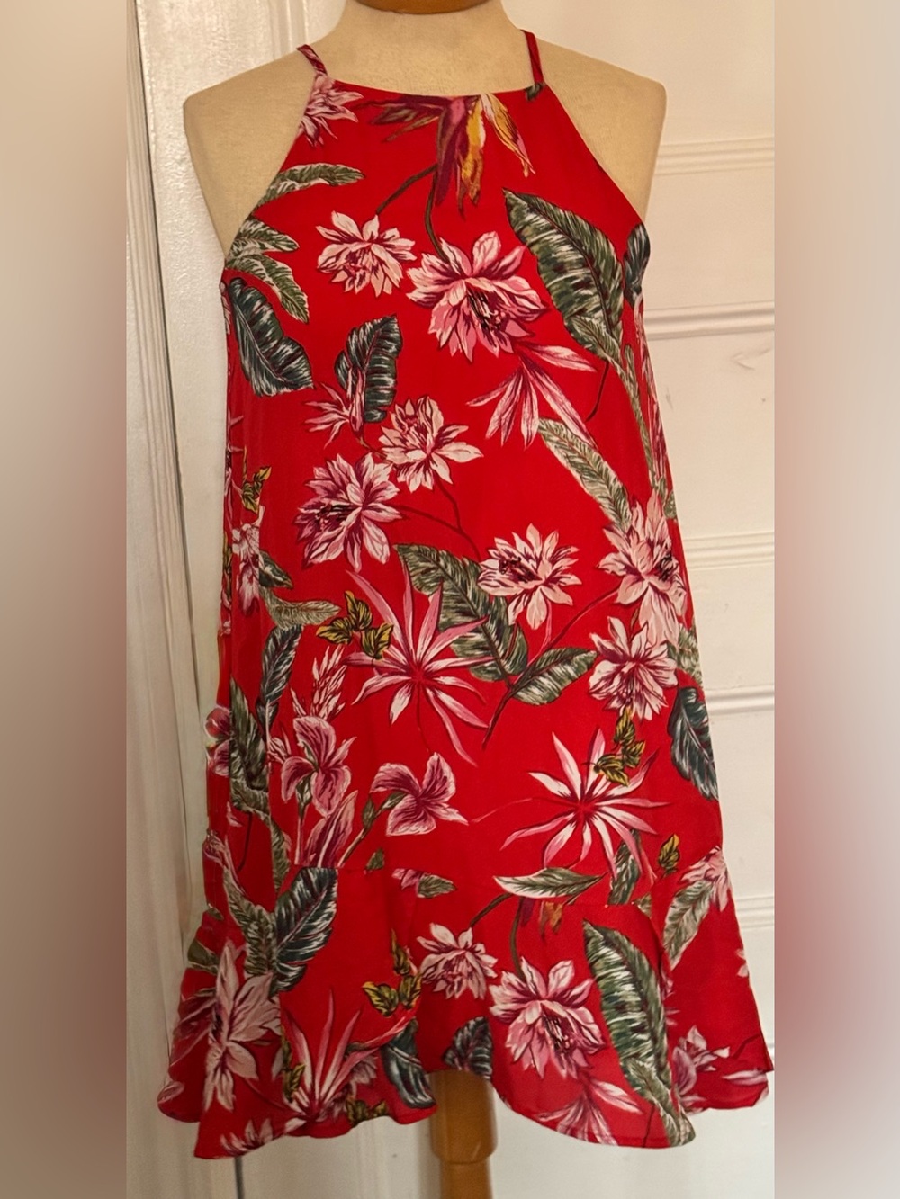 She + Sky Red Women's Tank dress